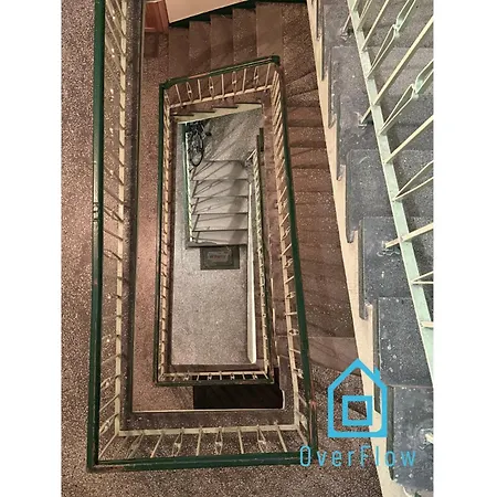 Проживание в семье Jungle Old Town