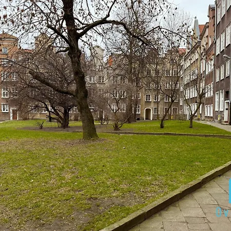 Jungle Old Town Проживание в семье