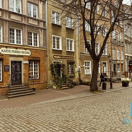 Jungle Old Town Гданьск