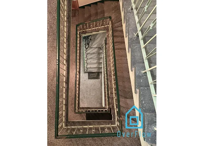 Проживание в семье Jungle Old Town