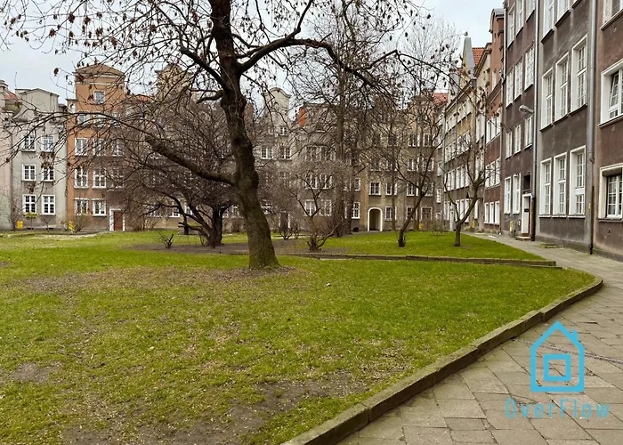 Jungle Old Town Homestay